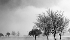 免费ddos在线攻击