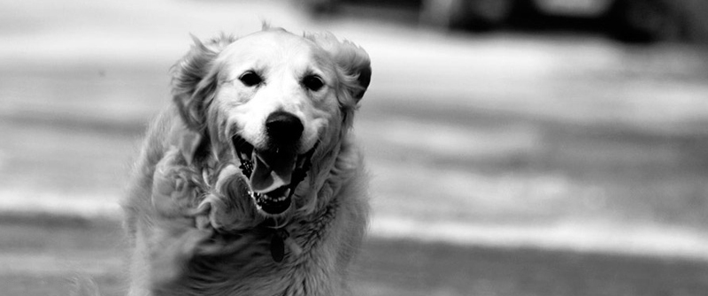 ddos在线攻击平台