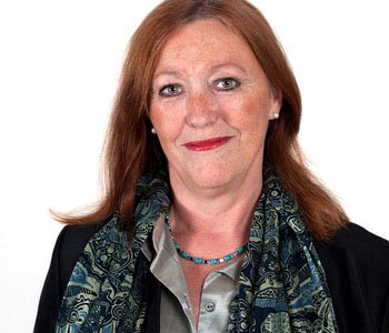 企业破解版的网页端ddos