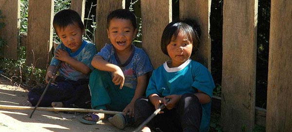 快速搜索便捷的ddos页端